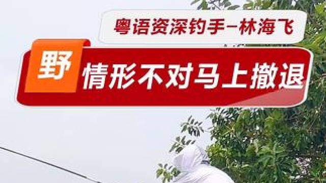 情形不对马上撤退 这种鱼情，你还会坚守吗？水位一流哦