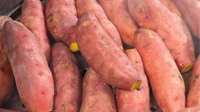 吃一次就会爱上的天目山小香薯，皮薄无茎，吃起来软糯香甜，糯叽叽的，全家人都说好吃#小香薯