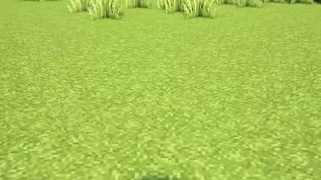 #Minecraft #我的世界 #方块怪盗追捕行动 #我的世界撸树计划