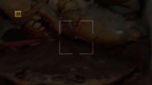 美味中的野生大螃蟹，一口下去满嘴流油，感觉升温