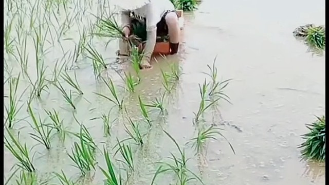 各行各业都出能人