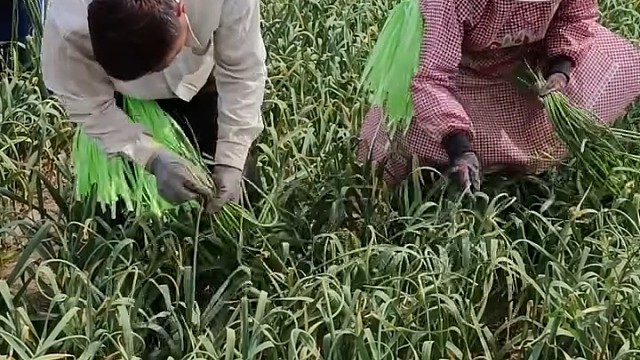 高手在民间，这才是真正的快手