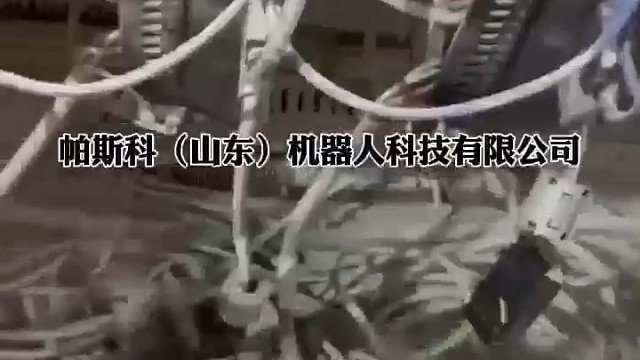 埃斯顿ER60-2000-PL堆垛机深层保养