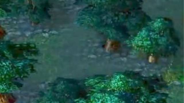 （二）大熊臻享版，劣单人马不能死