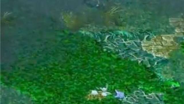 （一）大熊臻享版，大电锤蚂蚁，一路火花带闪电