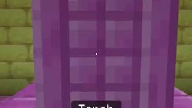 无限龙蛋#我的世界