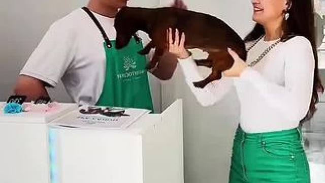 给狗子剪指甲出意外，结局让人太惊喜了！ #看一遍笑一遍 #意想不到的结局 #万万没想到 #老外真会玩