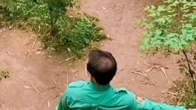 爷爷好不好，看福宝反应就知道，这才是真正的双向奔赴