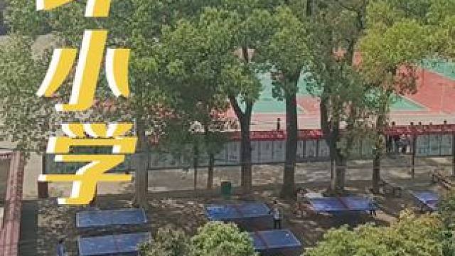 在姑妈家楼顶上，远眺沙坪小学学生们的课间活动，上体育课，打乒乓球，去食堂吃饭的场景，看着他们小小的身