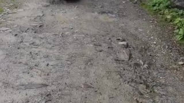 我这一生如履薄冰