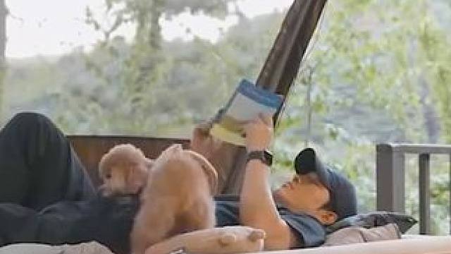 带着狗狗一起户外露营过夜，享受一个人的露营时光#露营