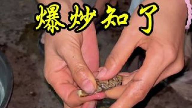 大家还记得小时候在河边抓知了的乐趣吗#抓知了的季节 #地方特色美食 #双凤 #我的乡村生活