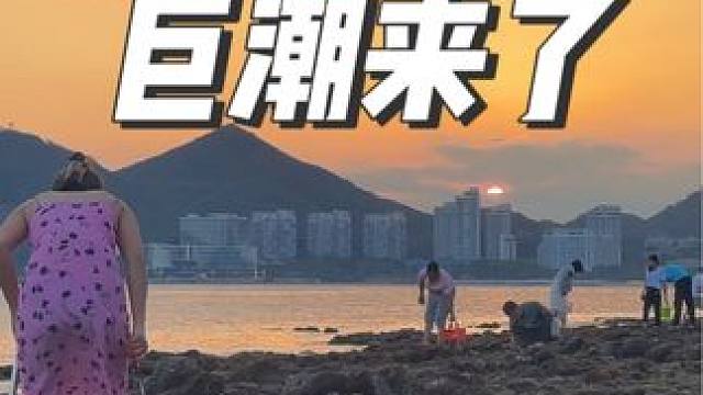 今年以来的第一次超级巨潮！快来三亚这八个地方赶海！#三亚赶海 #三亚赶海排名前三值得推荐的地方 #三