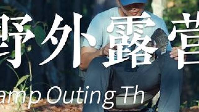 和猫咪惬意露营 #露营 #猫咪 #惬意时光