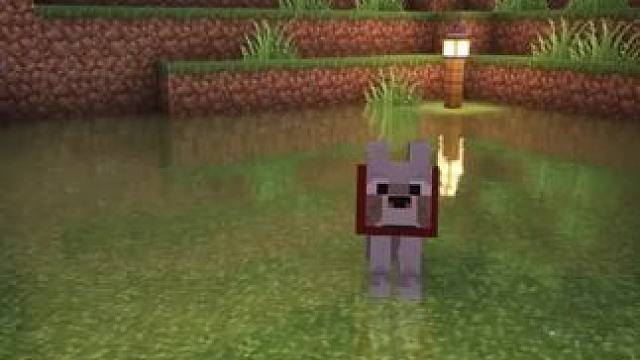 #Minecraft #我的世界 #方块怪盗追捕行动 #我的世界撸树计划