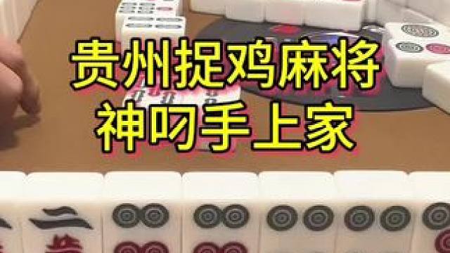 上家日龙豹有点作啊 #麻将 #贵阳捉鸡麻将 #小麻将解心宽 #打麻将 #贵州