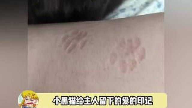 被猫猫盖过章，以后你就是我的人嘞