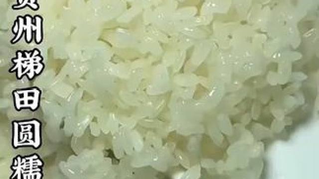 贵州梯田圆糯米，口感软糯香甜，打粑包粽子都特别安逸 #大山里的味道 #手工糍粑 #抖音美食推荐官#风