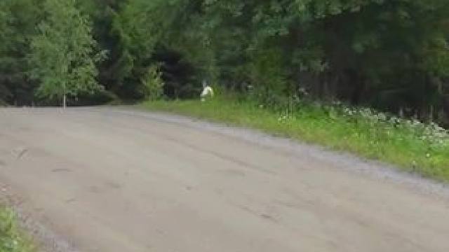 拉力赛场上贴地飞行的瞬间，飞驰人生都不敢这么拍，氛围感直接拉满#wrc拉力赛