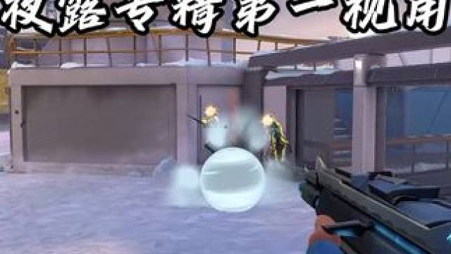 你真的能迅速辨别我的假人是真的还是假的吗 #无畏契约真的很EZ #无畏契约千灵华绽 #无畏契约夜露