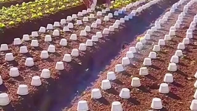 真的是干活高手[赞]