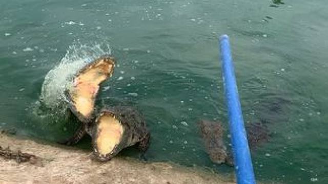 你吓到我了，你同伴都要干你