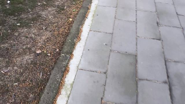 多出门走走溜达你也能捡到兰博基尼