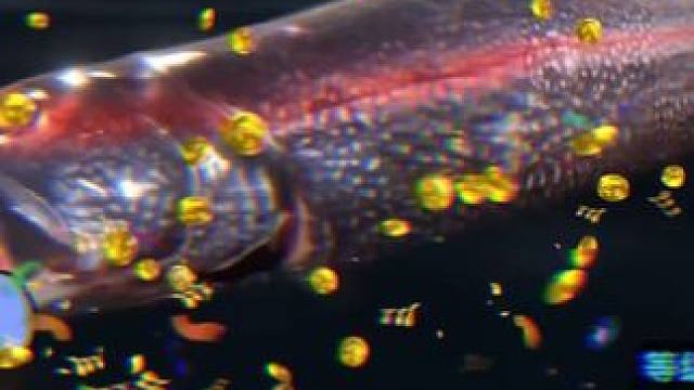 典藏神兽鱼:你的外卖到了！ #欢乐钓鱼大师 #人人都是钓鱼大师 #欢乐钓鱼大师最远甩竿