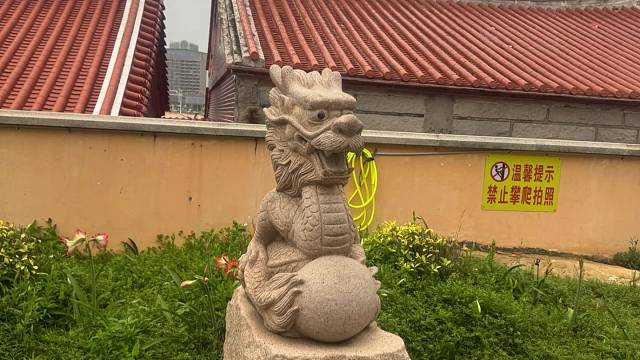 附近有没有收老6的老板 亮大稳定