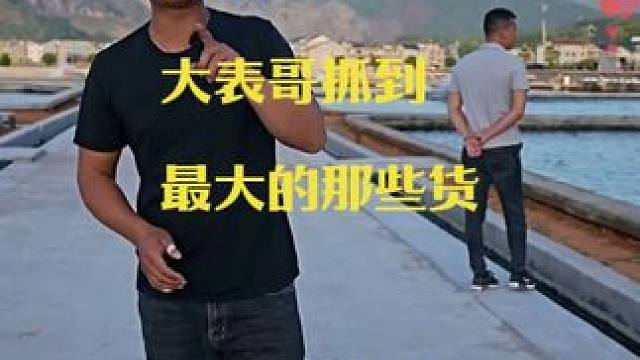 盘点大表哥抓到最大的那些货 #大表哥vlog #甲鱼肉 #抓鱼