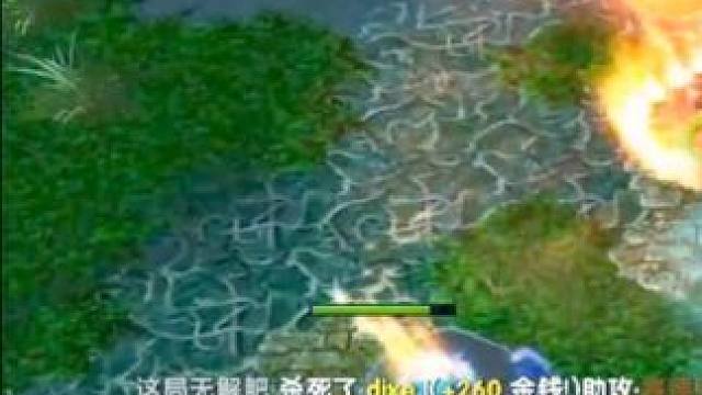 （一）大熊臻享版，中单绝活凤凰