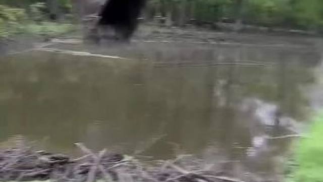 我发布了一个新视频，快来围观吧！