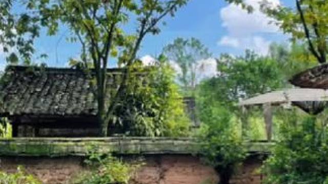 #日常生活小妙招 #实用小妙招 #技术分享 #经验分享 #科普一下