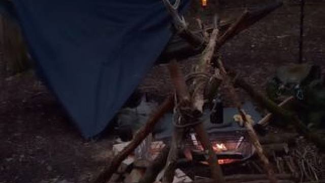 黑森林里的露营 #露营报告