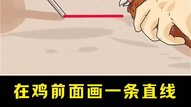 在鸡面前画一条直线，为什么它会不动