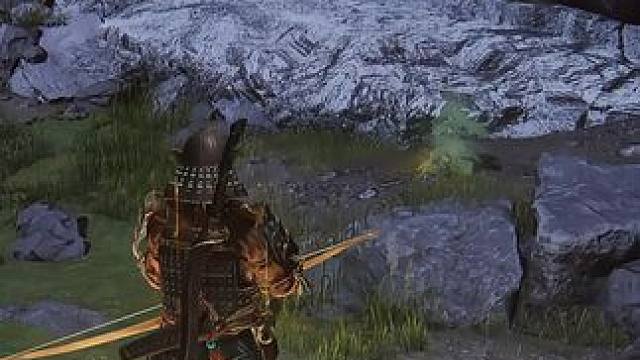 50个黄金鸡爪，1000只鸟打完我就是艾尔登之王 #艾尔登法环 #无上意志 #steam游戏 #艺术