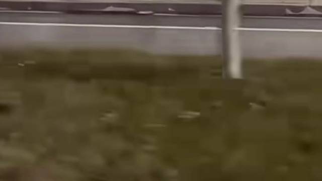 可不可以走进你的心里啊宝宝