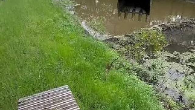 我发布了一个新视频，快来围观吧！