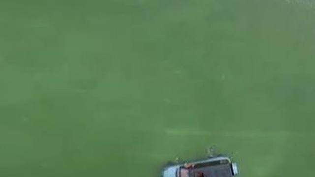 我发布了一个新视频，快来围观吧！