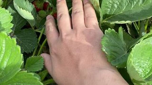 吃不完 #妈呀太香了