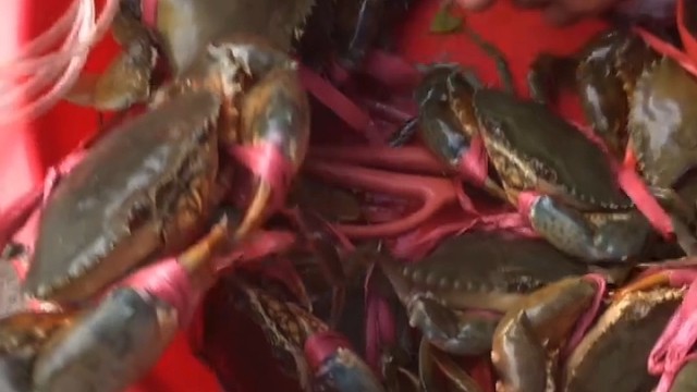 好货配好酒，大货配大佬，快来尝尝鲜吧