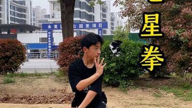 武术套路，少林七星拳 #武术 #中华武术博大精深 #让习武改变人生