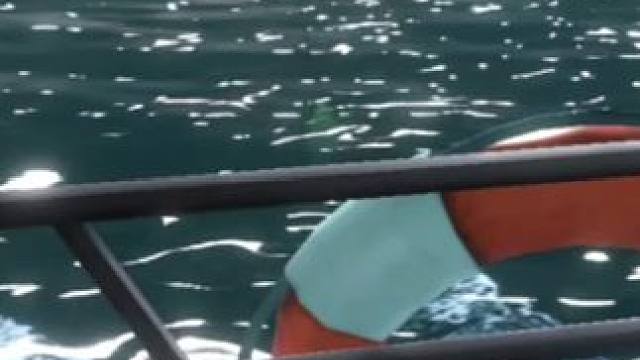 终于被我钓上来了 #欢乐钓鱼大师 #人人都是钓鱼大师 #欢乐钓鱼大师最远甩竿  #杰瑞米瓦德 #最强