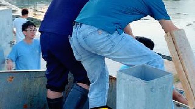 吃了猪肉就不能在吃我了哦 #鳄鱼养殖场 #鳄鱼 #鳄珍