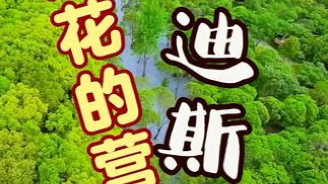 露营地分享 #露营地分享 #户外露营 #周末去哪玩