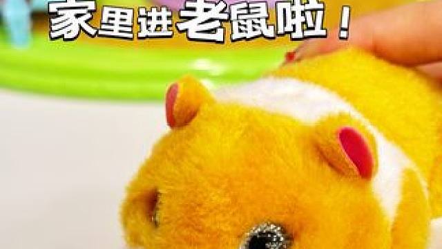 ZURU❗️你家老鼠跑到我家里了❗️ 
#我的玩具分享 #大人也要玩玩具 #zuru #zuru玩具