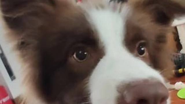 我发布了一个新视频，快来围观吧！