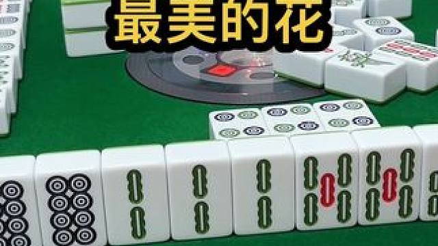 最美的花 #jj麻将 #四川麻将血战到底 #川麻 #打麻将天天赢场场赢