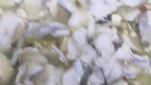 #那些尝一口就忘不掉的特色美食 #酸菜鱼 #真材实料才能做出好味道 #新鲜食材让您吃得放心 #巴适得