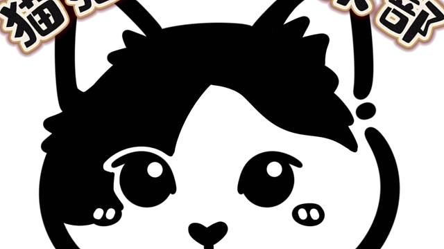 猫猫培丸正在准备开业中